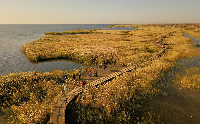 黄河入海流——黄河流域生态保护和高质量发展不断推进