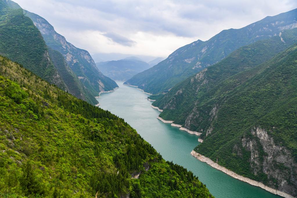 长江流域生态环境保护成效如何？看这份报告怎么说