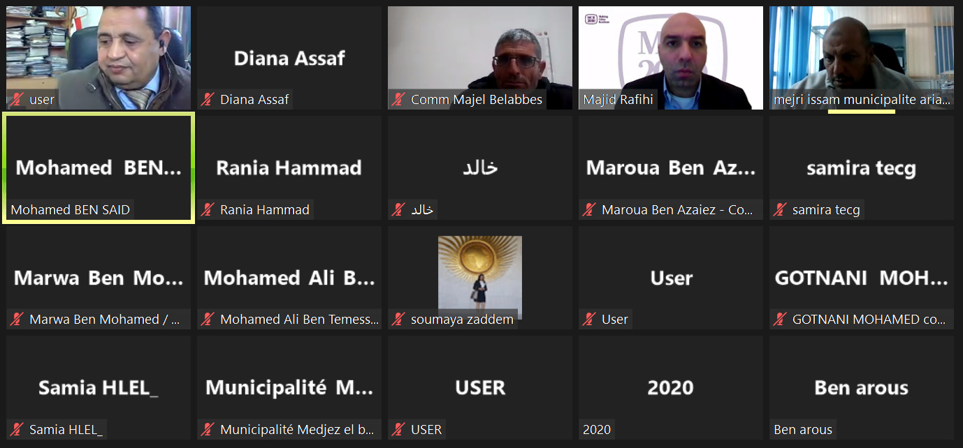 “2030使城市具有抗灾能力”网络研讨会：增强突尼斯地方政府权能 