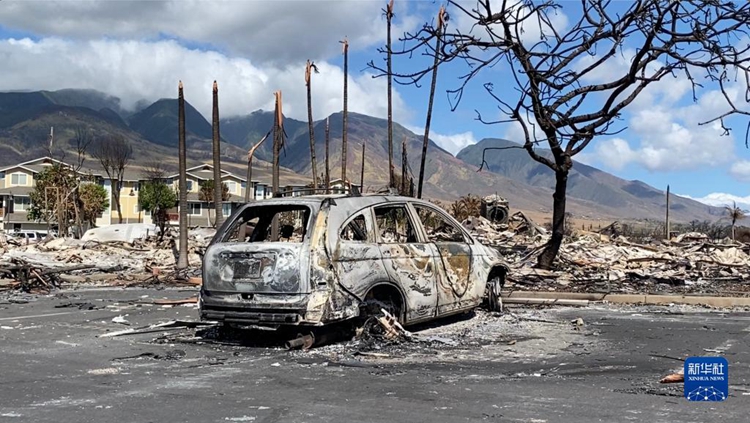 夏威夷野火遇难人数升至99人